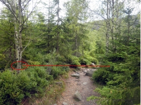Sčítací senzor poblíž Prášilského jezera.